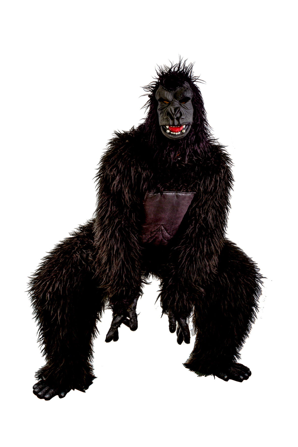 Gorila