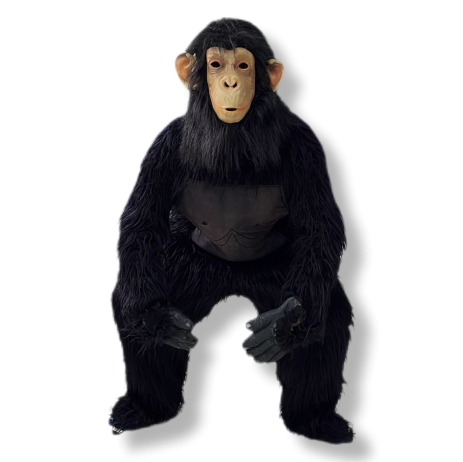 Macaco